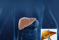 Pet & Liver Disorders